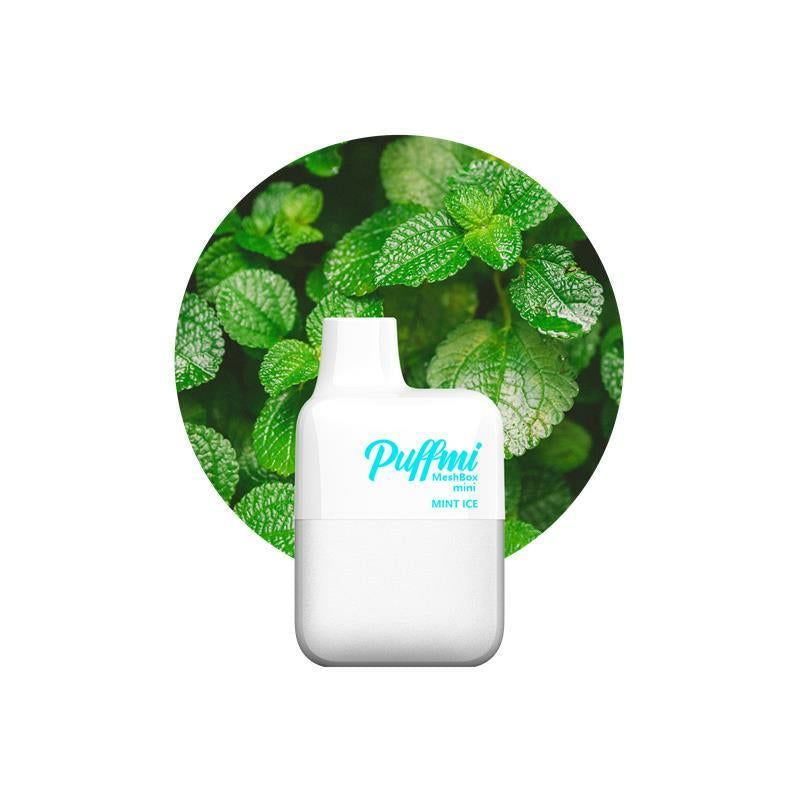 Puffmi MeshBox Mini - Mint Ice - 600 Puffs